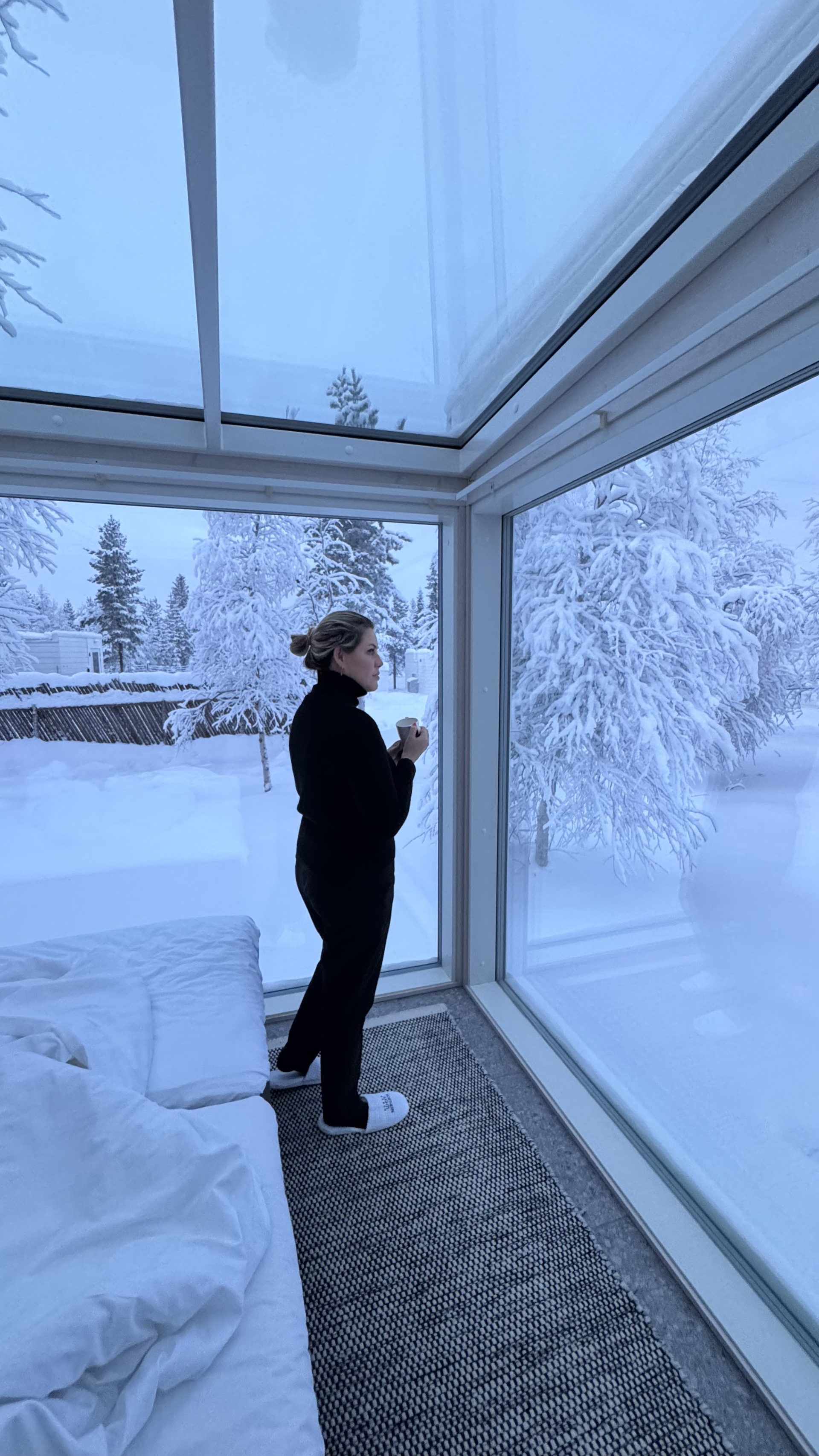 Iglu com teto de vidro