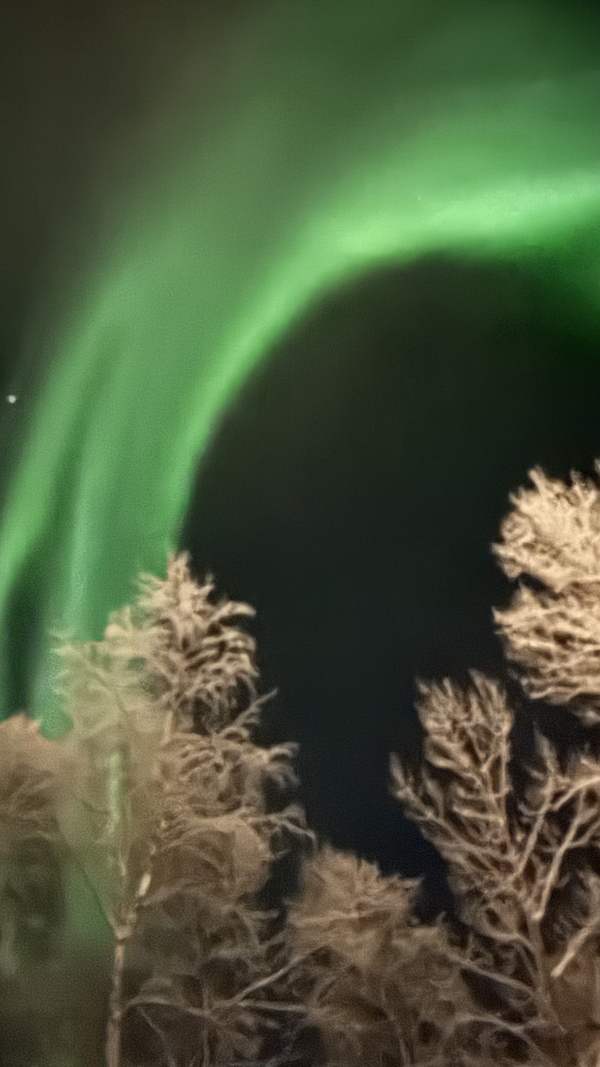 Aurora boreal